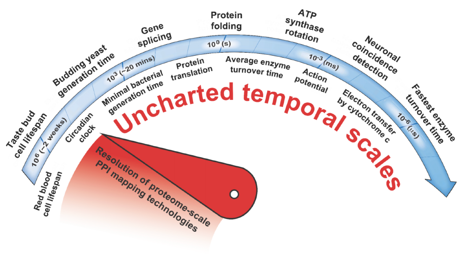 A dial spans cellular processes from weeks to microseconds. A red needle marks a days-scale interaction measurement, leaving many faster processes beyond its temporal resolution.