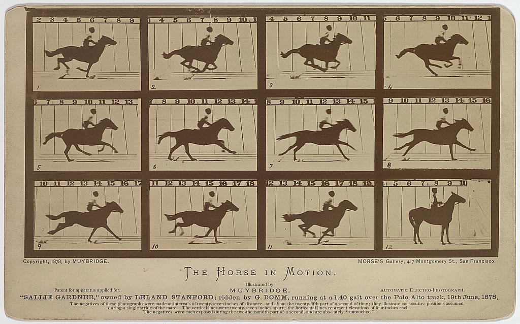 Twelve photographs on an 1878 card show successive positions of Sallie Gardner and her rider, including moments when every hoof is off the ground.