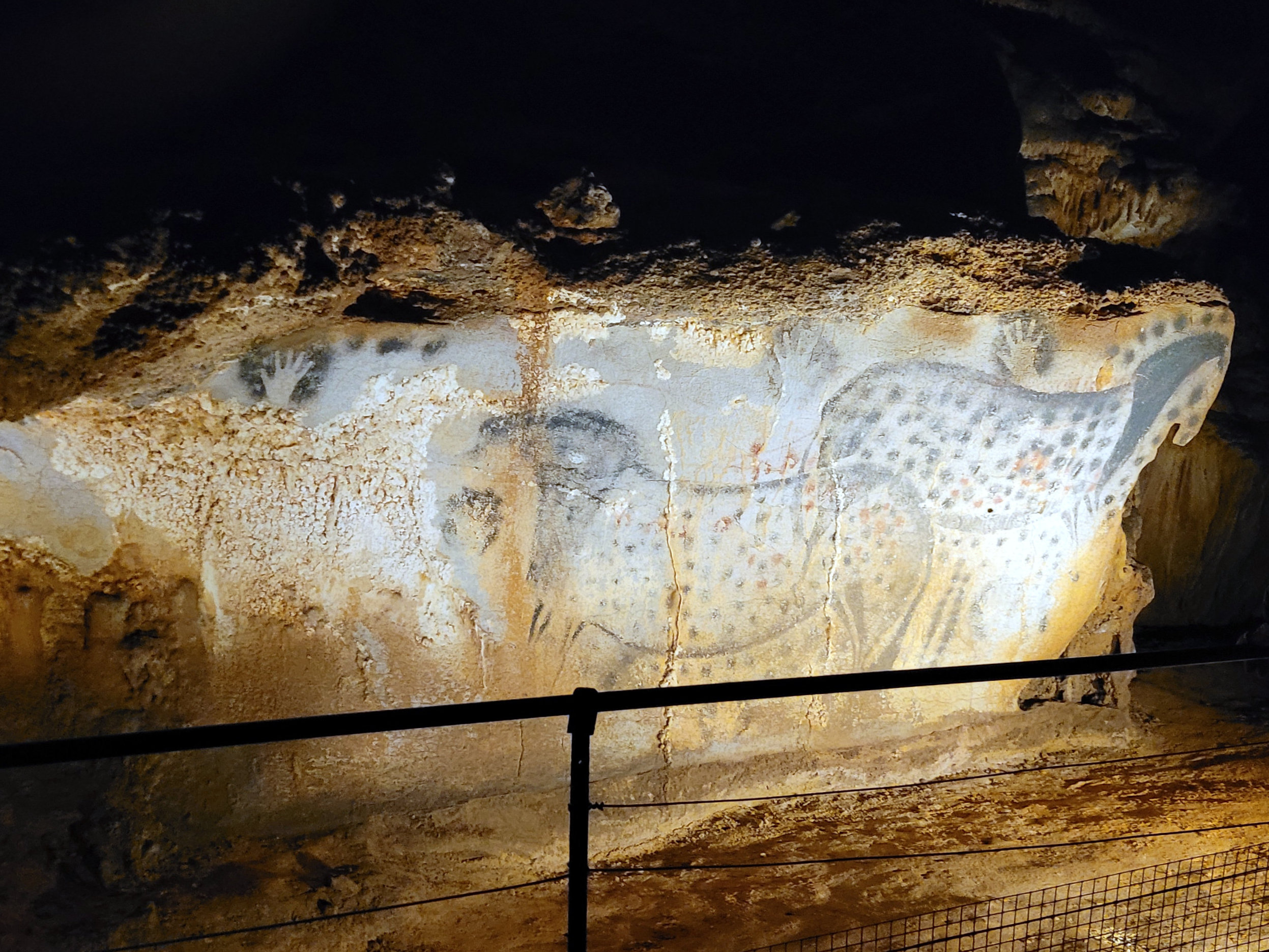 Two horses outlined in black on a cave wall at Pech Merle have spotted bodies. Stencilled hands and other markings surround them.